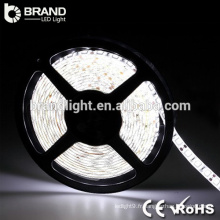 Alibaba China Supplier Cool White LED Strip Light
